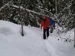 Canada: Lopen in de sneeuw - Canada_0101.jpg - Copyright : Ronald van der Veer (http://www.veeronline.nl)