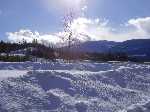 Canada: Een winters plaatje tussen Clearwater en Jasper - Canada_0137.jpg - Copyright : Ronald van der Veer (http://www.veeronline.nl)
