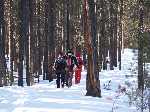 Winterreis Canada - Wandelen door de sneeuw