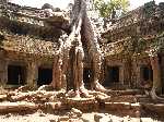 De boomwortels hebben greep op de Ta Phrom tempel in Angkor Cambodja