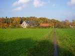 Recent bekeken:
Graspad