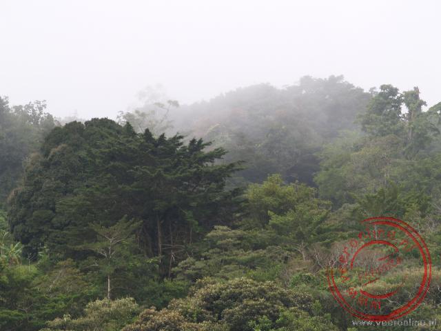 Het nevelwoud van Monteverde
