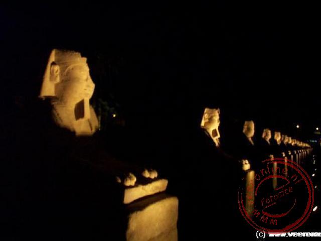 De sfinxen houden de wacht langs de oude weg van de Luxor tempel naar de Karnak Tempel, drie kilometer verderop