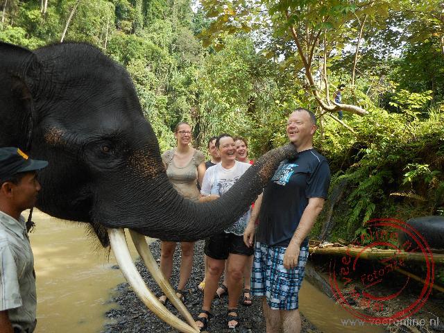 Als dank geeft de olifant een douche en blaast daarna mijn gezicht droog