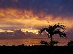 Fiji: De prachtige zonsondergang op Fiji - Nieuw_Zeeland_0190.jpg - Copyright : Ronald van der Veer (http://www.veeronline.nl)