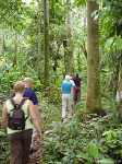 Suriname: Een wandeling door de jungle - Suriname_0041.jpg - Copyright : Ronald van der Veer (http://www.veeronline.nl)